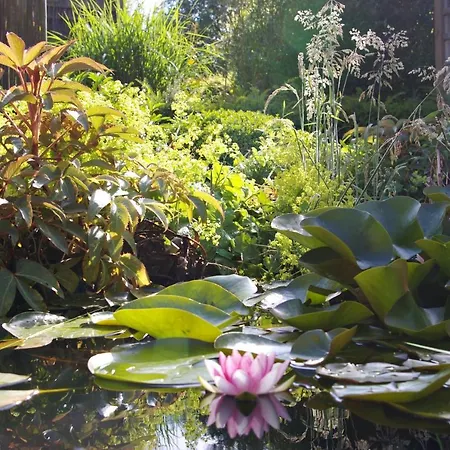 Monique Couette-café *