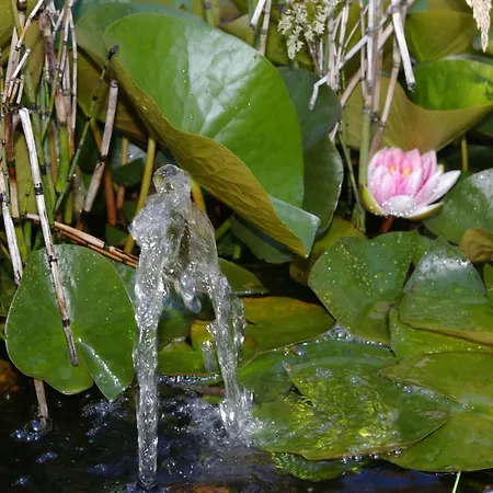 Monique Nocleg ze śniadaniem