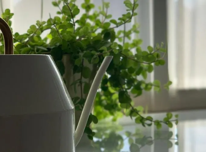 Monique Nocleg ze śniadaniem Koksijde