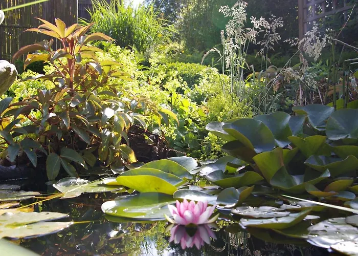 Monique Couette-café *