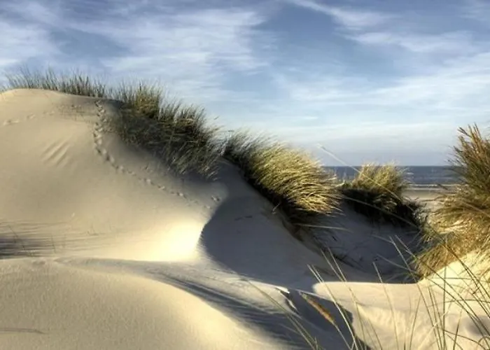 Couette-café Monique